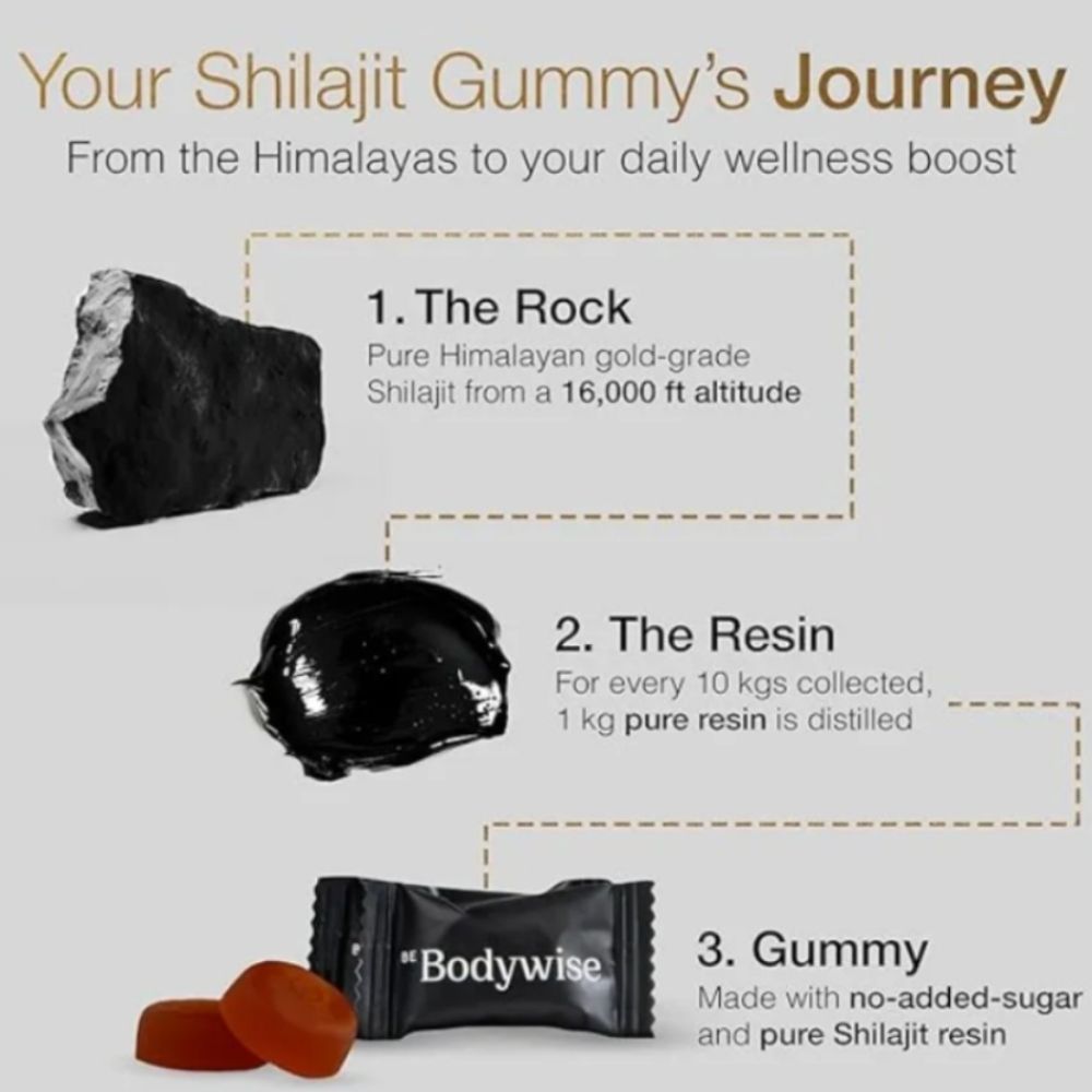 Suplemento Shilajit Gomas 60 Pcs 3000mg - Imagen 2